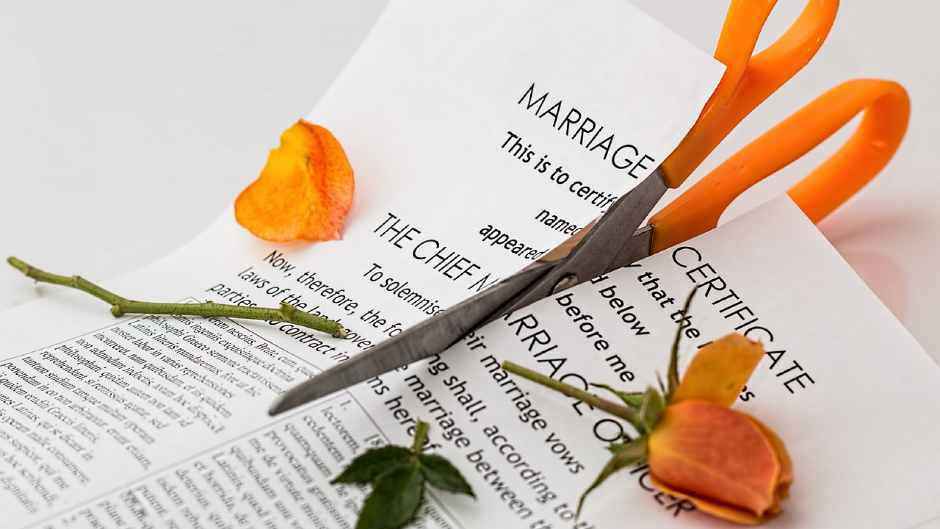 Ma Femme Demande Le Divorce: 5 Droits Essentiels À Connaître